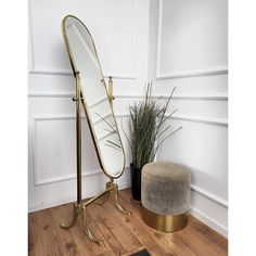 a mirror sitting on top of a wooden floor next to a potted plant