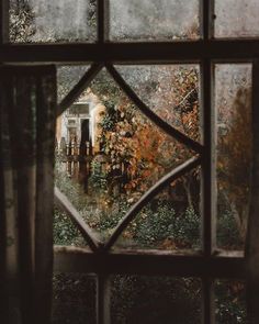 the view through a stained glass window into an outdoor area with trees and bushes in autumn