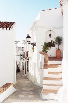 an alley way with white buildings and potted plants