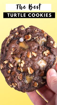 the best turtle cookies are made with chocolate, walnuts, and sea salt they're so good to eat