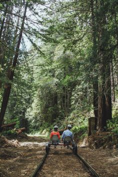 two people on three wheeled vehicles in the middle of a wooded area with railroad tracks