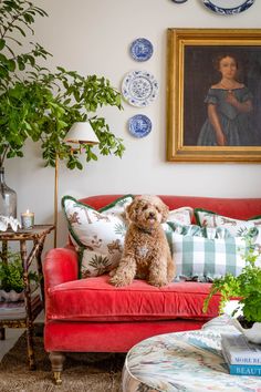 a dog sitting on top of a red couch in a living room next to a painting