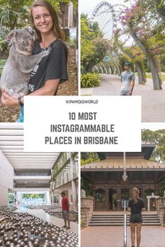 the top 10 most instagrammable places in brisbane