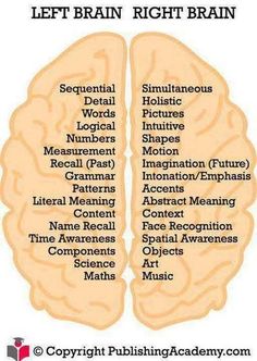 Left And Right Brain, Left Brain Right Brain, Left Brain, Right Brain, Medical Knowledge