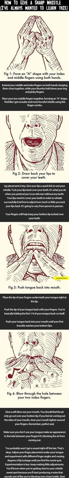 How To Whistle, Not Musik, Holy Cow, Simple Life Hacks, Life Hack, Diy Life Hacks, Diy Life, The More You Know, Survival Tips