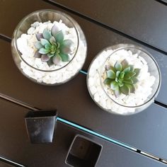 two glass bowls with succulents in them on a table