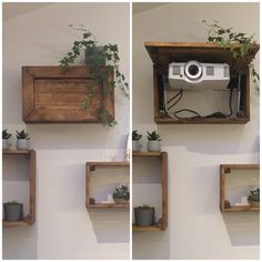 three wooden shelves with plants and a camera mounted to the wall, one holding a potted plant