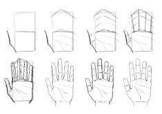 the steps in how to draw hands