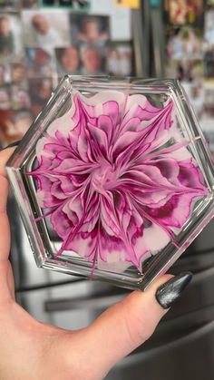 a person holding up a pink and white flower in front of a refrigerator freezer