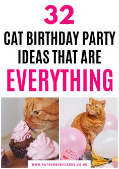 Cat birthday party ideas and birthday gifts for cats and kittens Cat Cake Recipe For Cats, Birthday Ideas For Cats, Birthday Party For Cat, Birthday Party For Cats, Cat Birthday Cake For Cats, Kitten Birthday Party Ideas