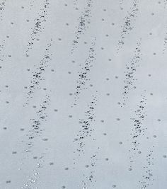 water droplets on the surface of a large body of water