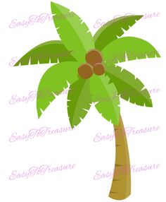 a green palm tree with brown fruit on it's leaves and the bottom half of its