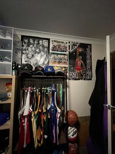 there is a basketball and other sports items in the closet on the wall next to it