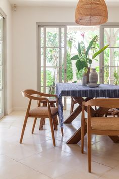 a dining room table with chairs and a potted plant