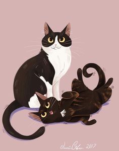 two black and white cats sitting next to each other on top of a pink background