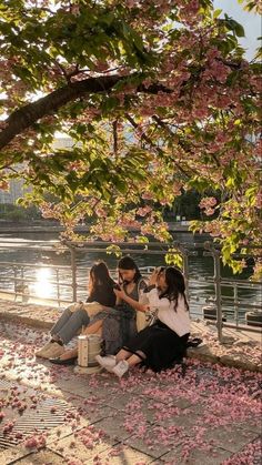 three women sitting under a tree with petals on the ground