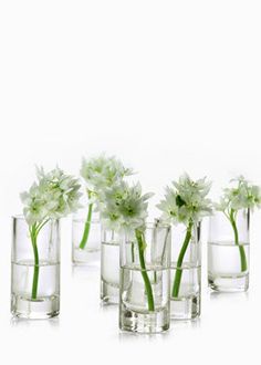 five clear glass vases with flowers in them