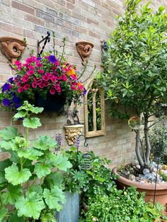 several potted plants on the side of a brick building with hanging planters filled with flowers