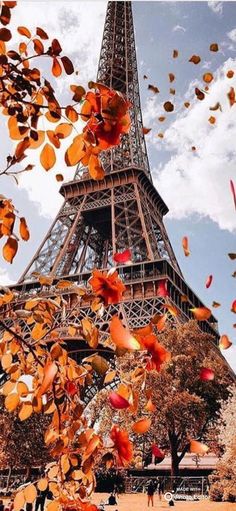 the eiffel tower is surrounded by autumn leaves