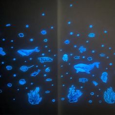 blue glow in the dark sea animals and corals