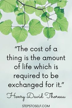 the cost of a thing is the amount of life which is required to be examined for it