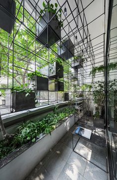 an indoor garden with plants and books on the shelves, in front of a glass wall