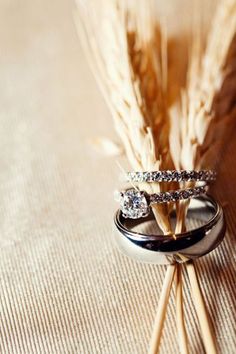 two wedding rings sitting on top of each other in front of some stalks of wheat