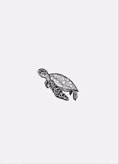 a black and white drawing of a turtle