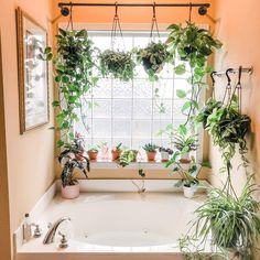 a bathroom window with plants hanging from it