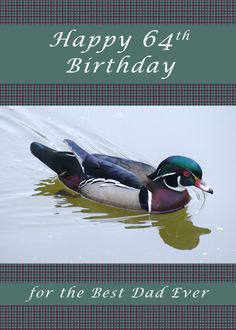 Happy 64th Birthday for the Best Dad Ever, Wood Duck card Happy 79th Birthday, Happy 78th Birthday, Happy 77th Birthday, Happy 59th Birthday, Happy 76th Birthday