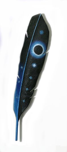 a black and blue feather with holes on it's side sitting on a white surface