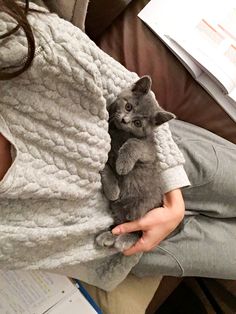 a woman holding a small kitten in her lap