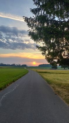 the sun is setting over an open field with a tree on one side and a paved road in the other