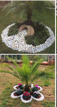 four pictures of different types of landscaping in the yard and on the lawn, there is a palm tree