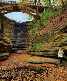 a woman sitting on top of a rock next to a river under a bridge in the woods