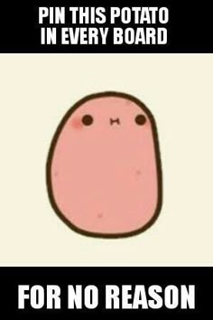 an image of a cartoon character with the caption pin this potato in every board for no reason