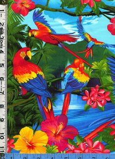 colorful parrots and tropical flowers on a blue background, with a ruler in the foreground