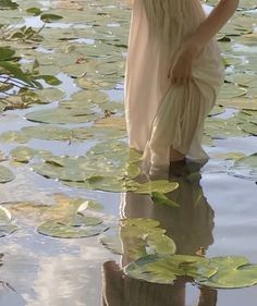 a person standing in the water with lily pads