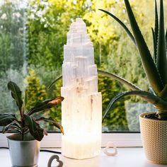 a tall glass vase sitting on top of a window sill next to a potted plant