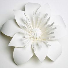 a white paper flower on a white background