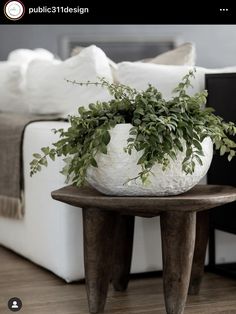 a potted plant sitting on top of a wooden table next to a white couch