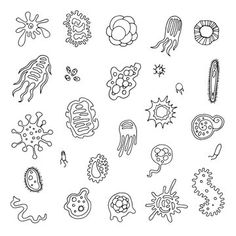 an image of different types of animals and plants in black and white ink on a white background