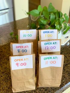 four brown paper bags sitting on top of a counter next to a potted plant