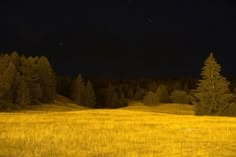 an open field with trees in the background at night