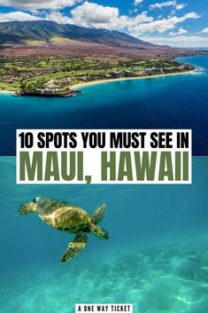 a turtle swimming in the ocean with text overlay reading 10 spots you must see in mau, hawaii