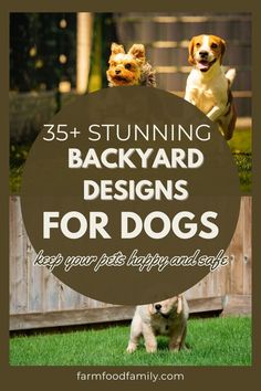 two dogs jumping up in the air with text overlay that reads, 53 stunning backyard designs for dogs keep your pets happy and safe