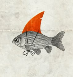 a drawing of a fish with an orange fin