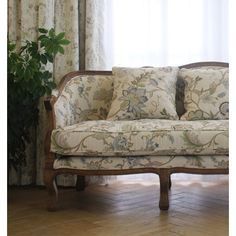 a couch sitting on top of a hard wood floor next to a potted plant