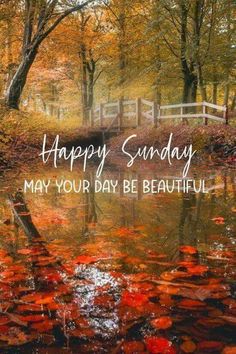 a pond with leaves floating in it and the words happy sunday may your day be beautiful