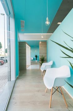 three white chairs sitting in front of a blue wall with plants growing on the side